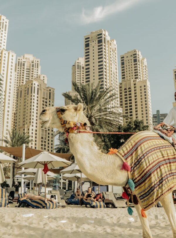 travelus_dubai_beach